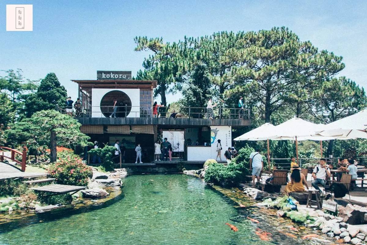 Kokoro Cafe Đà Lạt - Khám phá đất nước mặt trời mọc bên trong thành phố ngàn hoa