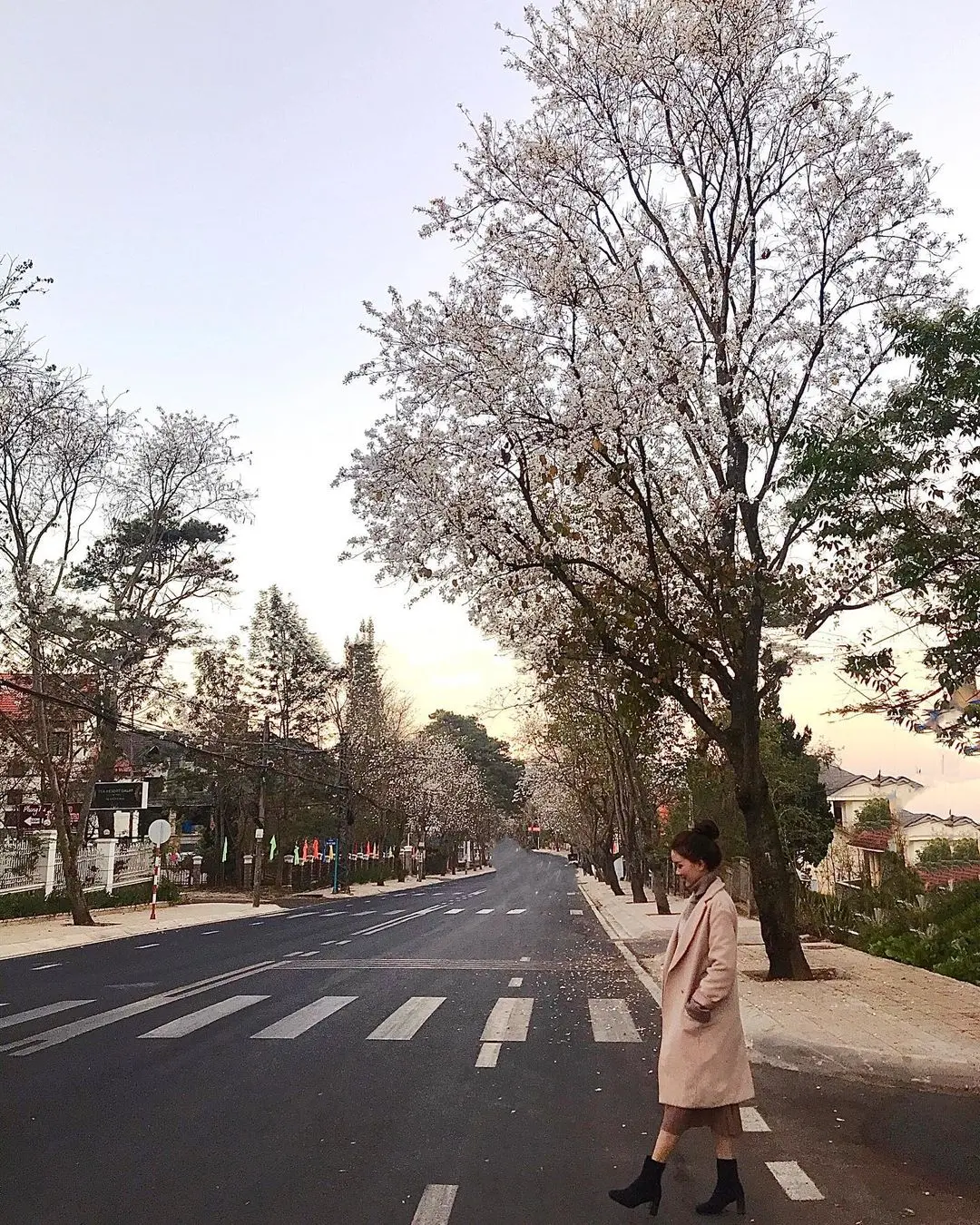 Bỏ t&uacute;i kinh nghiệm đi phượt Đ&agrave; Lạt từ S&agrave;i G&ograve;n 4