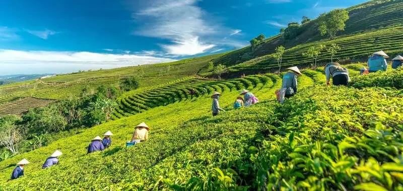 24 cảnh đẹp Đ&agrave; Lạt ấn tượng giải m&atilde; sức h&uacute;t của th&agrave;nh phố ng&agrave;n hoa 7