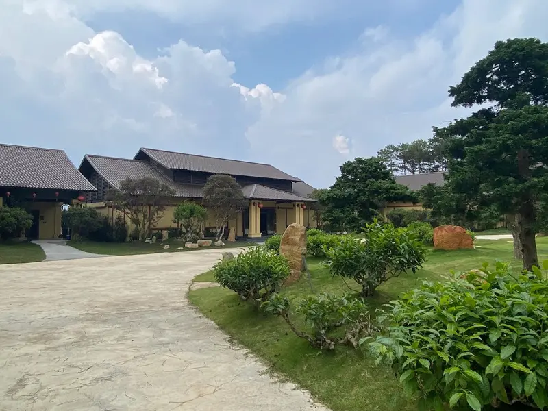 Bảo t&agrave;ng tr&agrave; Long Đỉnh Đ&agrave; Lạt: H&agrave;nh tr&igrave;nh hồi sinh tr&agrave; Việt 2