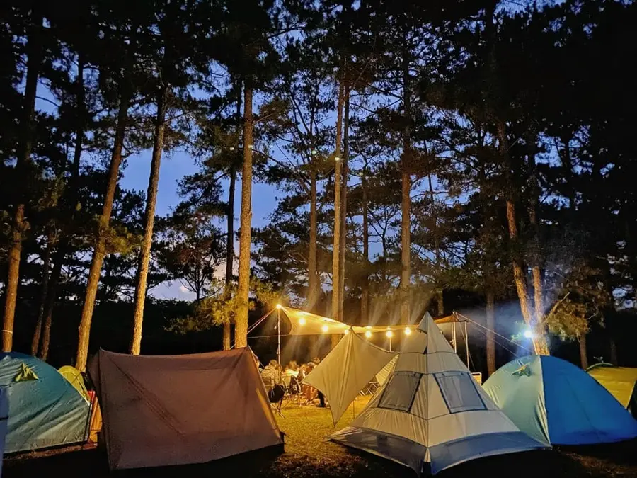 Cắm trại tr&ecirc;n đồi Đa Ph&uacute;, trải nghiệm cực chill c&ugrave;ng hội bạn th&acirc;n 5