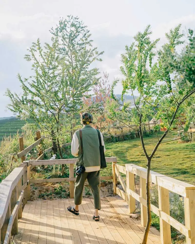 Chika Farm, n&ocirc;ng trại cổ t&iacute;ch giữa l&ograve;ng Đ&agrave; Lạt 5