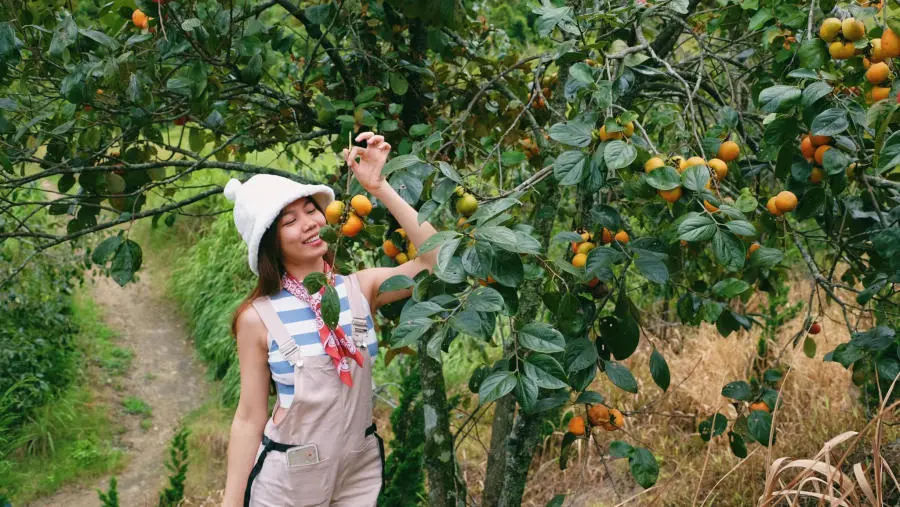 C&oacute; một M&ugrave;a hồng Đ&agrave; Lạt rực rỡ l&agrave;m xao xuyến l&ograve;ng hội m&ecirc; sống ảo 7