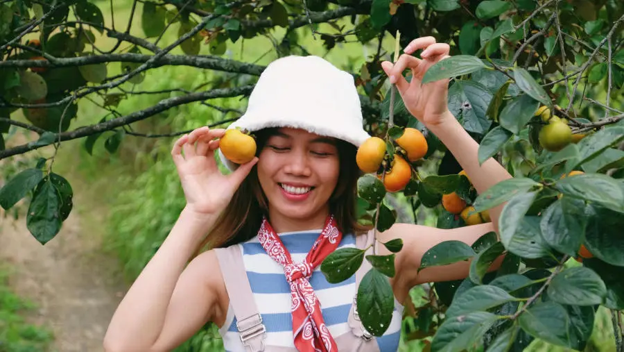 C&oacute; một M&ugrave;a hồng Đ&agrave; Lạt rực rỡ l&agrave;m xao xuyến l&ograve;ng hội m&ecirc; sống ảo 5