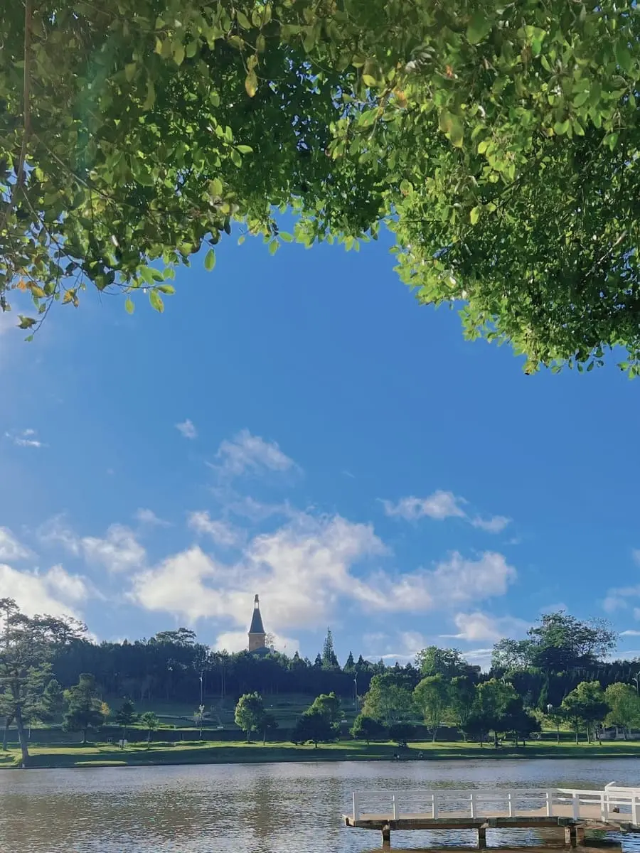 Đ&agrave; Lạt v&agrave;o thu, kh&ocirc;ng gian chở cả trời thương nhớ của một v&ugrave;ng cao nguy&ecirc;n 3