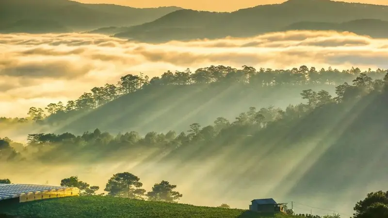 Đến đồi Du Sinh chạm tay v&agrave;o biển m&acirc;y giữa l&ograve;ng Đ&agrave; Lạt 2