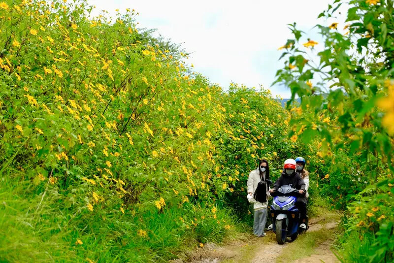Đ&egrave;o T&agrave; Nung: Cung đường thơ mộng giữa n&uacute;i rừng Đ&agrave; Lạt 5