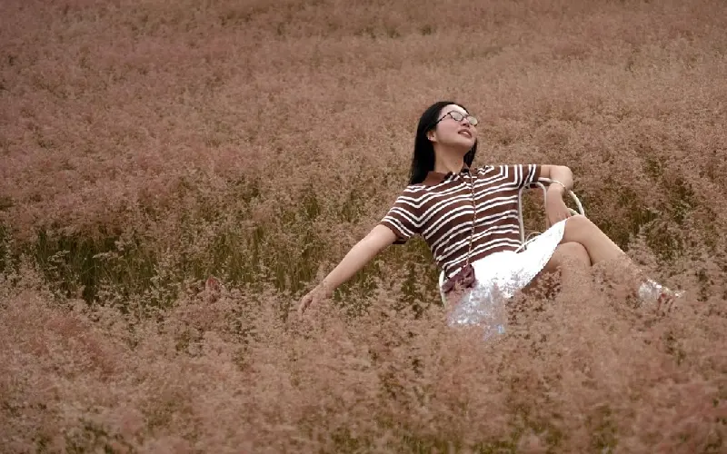Đồi cỏ hồng Măng Lin: N&eacute;t đẹp hoang sơ n&iacute;u ch&acirc;n du kh&aacute;ch 11