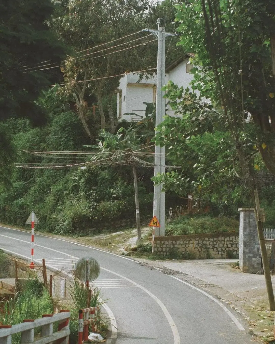 Kh&aacute;m ph&aacute; Buổi s&aacute;ng Đ&agrave; Lạt thơ mộng trong l&agrave;n sương sớm 3