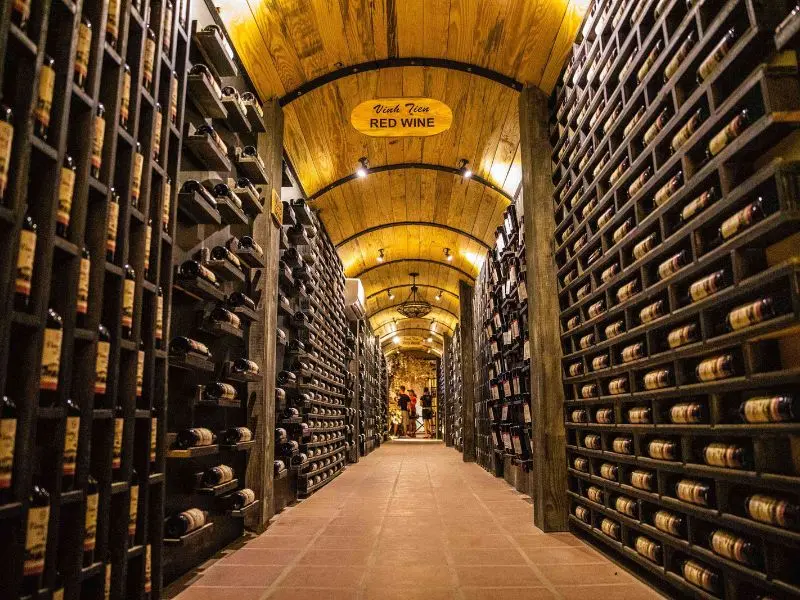 Kh&aacute;m ph&aacute; Hầm rượu vang Vĩnh Tiến Đ&agrave; Lạt: Nơi lưu giữ hương vị n&uacute;i rừng 2