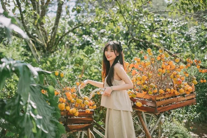 Kinh nghiệm du ngoạn m&ugrave;a hồng Đ&agrave; Lạt bạn n&ecirc;n bỏ t&uacute;i ngay 4
