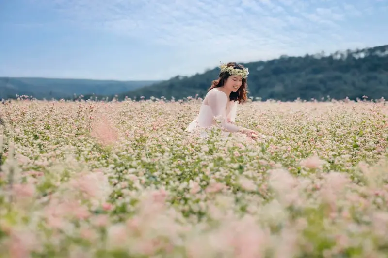 Lạc lối giữa vườn hoa tam giác mạch Đà Lạt đẹp mê hồn 8