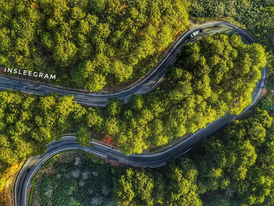 L&ecirc;n đường Kh&aacute;m ph&aacute; Đ&agrave; Lạt v&agrave;o những ng&agrave;y mệt mỏi với nhịp sống phố thị 10