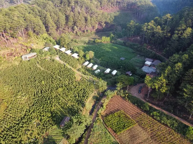 Lưu ngay top 10 địa điểm glamping Đ&agrave; Lạt cực chill 5
