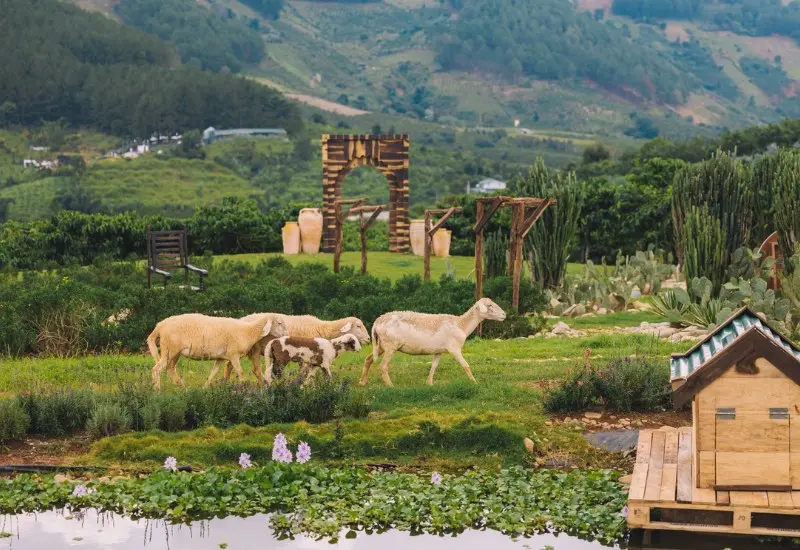 Mongo Land Dalat: Review A - Z gi&aacute; v&eacute; v&agrave; hoạt động vui chơi 3