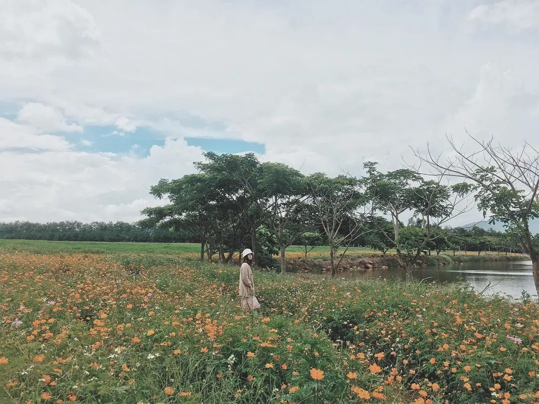 Một 'chiếc' Review Đ&agrave; Lạt Milk Farm tất tần tật d&agrave;nh cho những ai lần đầu đến đ&acirc;y 3