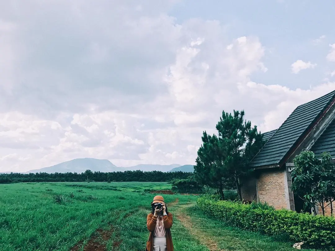 Một 'chiếc' Review Đ&agrave; Lạt Milk Farm tất tần tật d&agrave;nh cho những ai lần đầu đến đ&acirc;y 8
