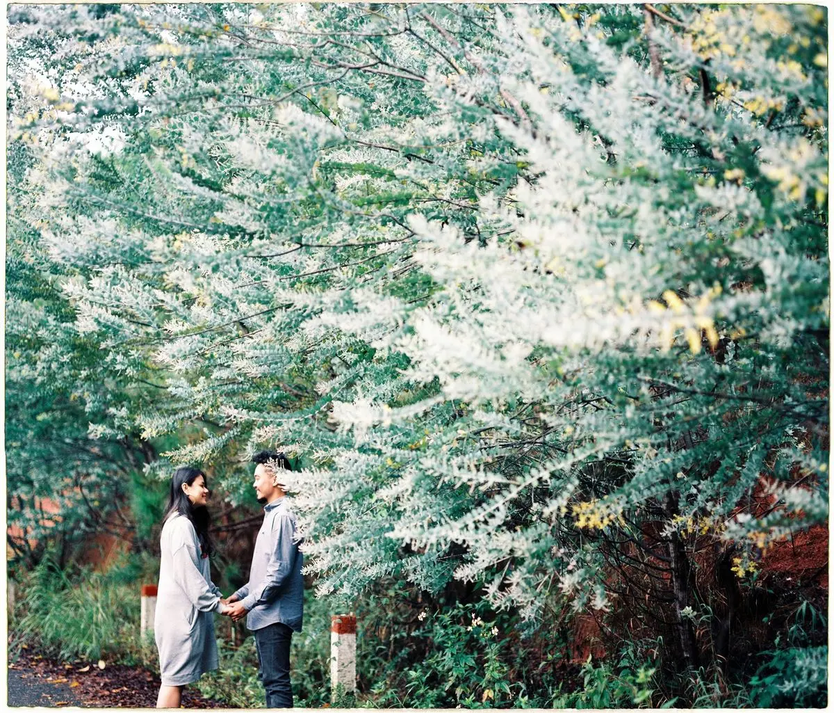 Một Đ&agrave; Lạt vừa &lsquo;thơ&rsquo; vừa &lsquo;t&igrave;nh&rsquo; qua ống k&iacute;nh của ch&agrave;ng photo 9x M&eacute;o Pờ 6