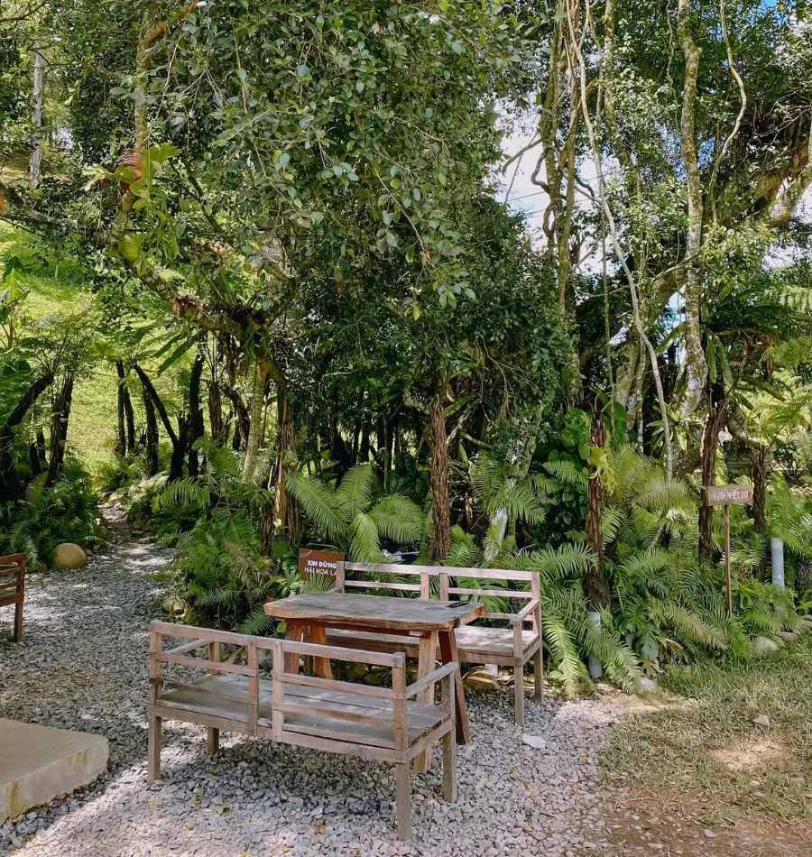 Một s&aacute;ng lang thang Đ&agrave; Lạt trong thung lũng xanh m&aacute;t 8