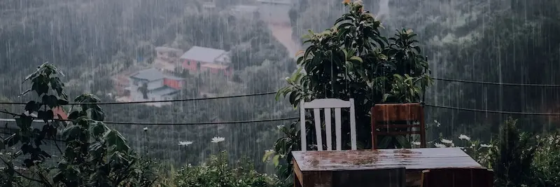 M&ugrave;a mưa Đ&agrave; Lạt, ng&agrave;y nắng tắt với vẻ đẹp mơ m&agrave;ng trong sương 3