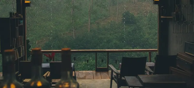 M&ugrave;a mưa Đ&agrave; Lạt, ng&agrave;y nắng tắt với vẻ đẹp mơ m&agrave;ng trong sương 2
