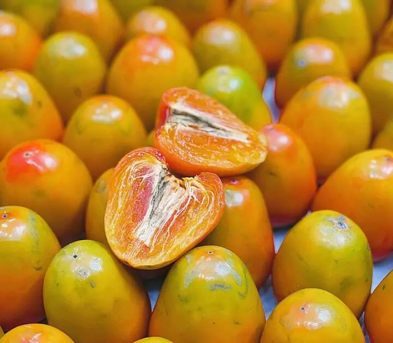 M&ugrave;a quả hồng Đ&agrave; Lạt: Tinh hoa đặc sản m&ugrave;a thu xứ sở ng&agrave;n hoa 5