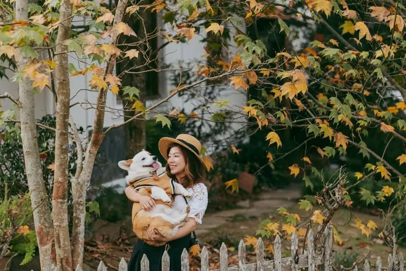Ng&ocirc;i nh&agrave; nhiều l&aacute; phong nhất Đ&agrave; Lạt, vẻ đẹp rạng rỡ n&ecirc;n thơ 2