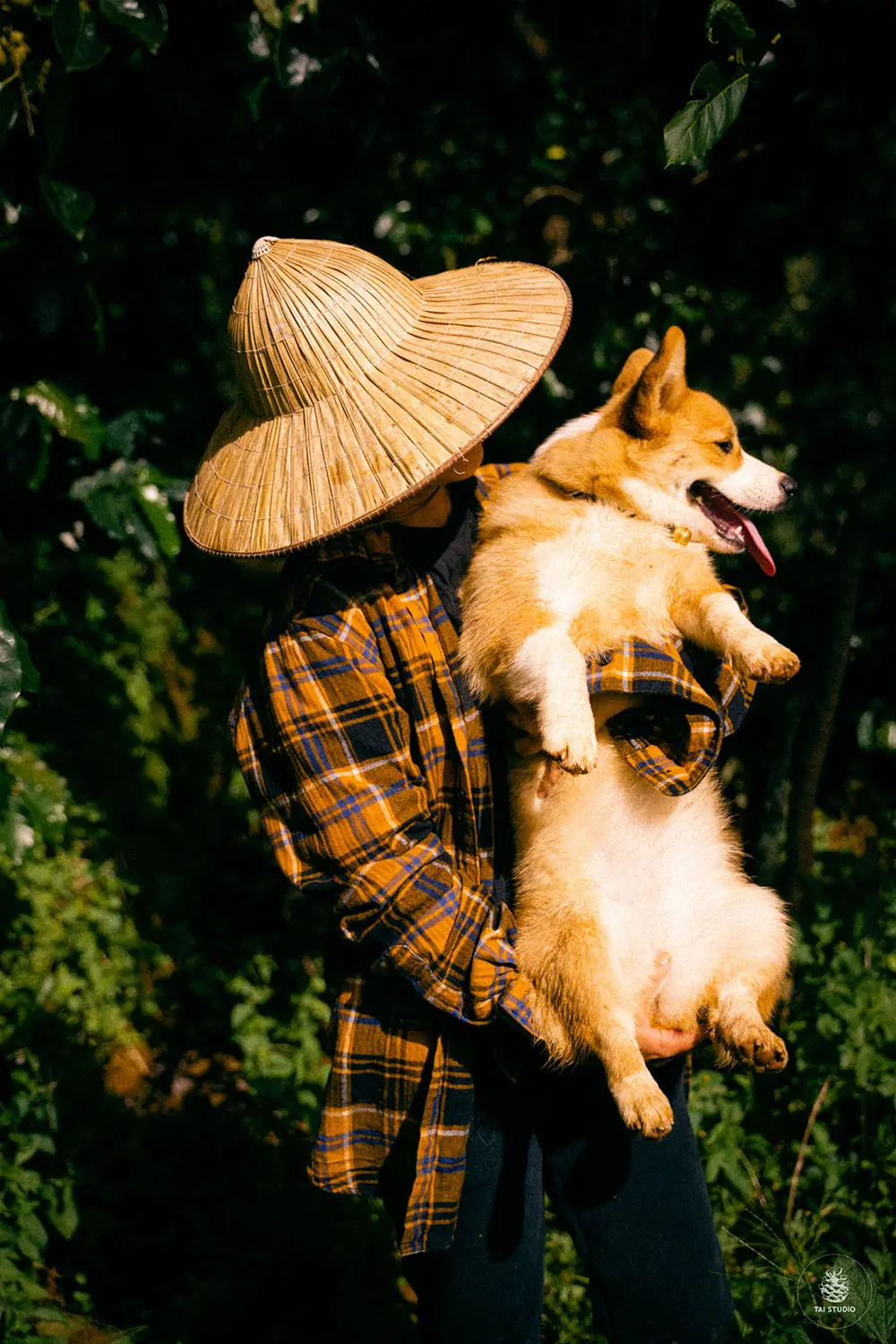 Review Đ&agrave; Lạt, t&igrave;m ch&uacute;t b&igrave;nh y&ecirc;n giữa bộn bề cuộc sống 10