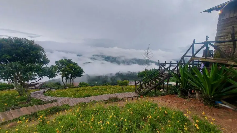 Săn m&acirc;y Đ&agrave; Lạt, trải nghiệm đ&aacute;ng gi&aacute; m&agrave; bạn n&ecirc;n thử qua tại cao nguy&ecirc;n 2