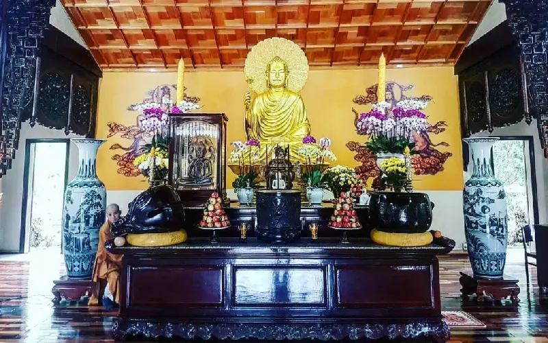 Thiền viện Tr&uacute;c L&acirc;m Đ&agrave; Lạt: Chốn b&igrave;nh y&ecirc;n giữa rừng th&ocirc;ng xanh 5