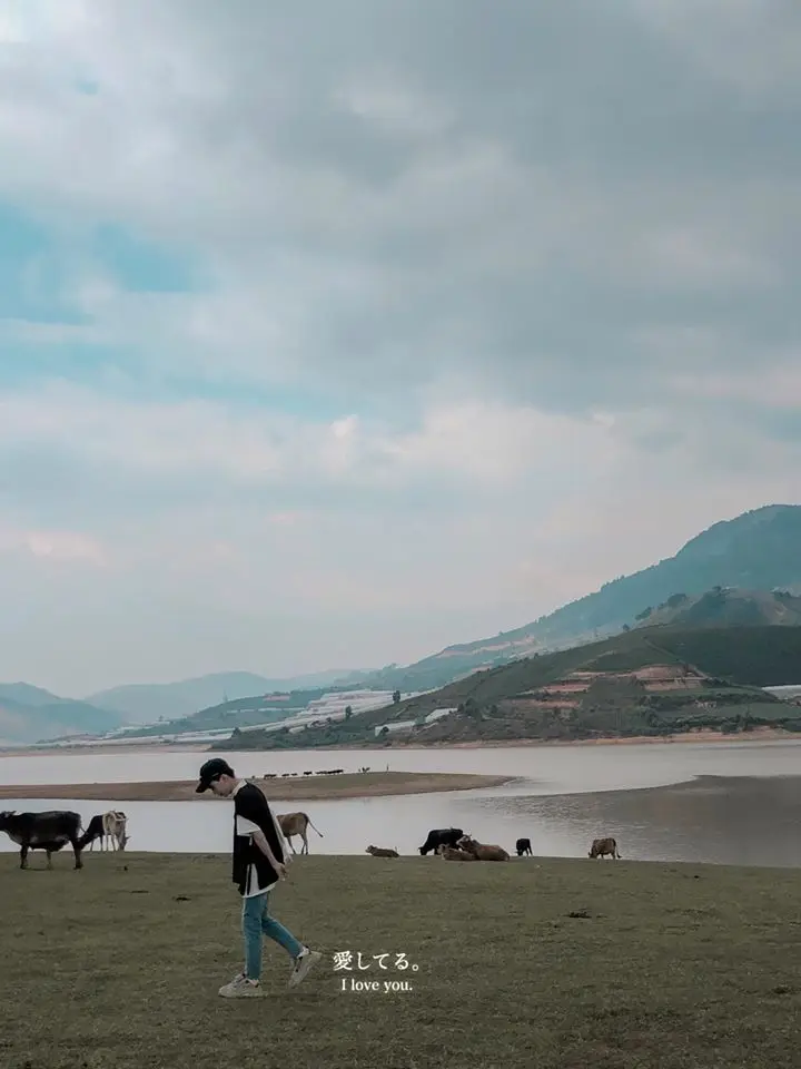 Thuộc 'team' c&ocirc; đơn th&igrave; quẹo v&ocirc; b&agrave;i Review Đ&agrave; Lạt 2N1Đ của Đức Thiện ngay v&agrave; lu&ocirc;n! 14