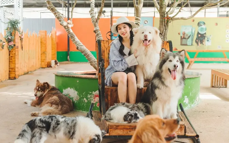 Top 14 khu vui chơi trẻ em ở Đà Lạt thú vị trong dịp hè này 9