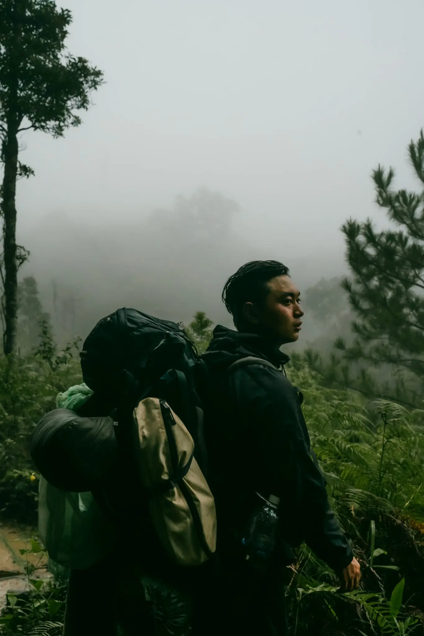 Trekking Langbiang m&ugrave;a mưa ngắm nh&igrave;n cung đường buồn man m&aacute;c 2