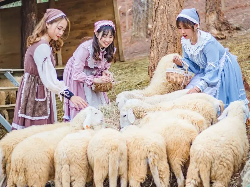 Wonderland Đ&agrave; Lạt, kh&aacute;m ph&aacute; xứ sở thần ti&ecirc;n giữa l&ograve;ng phố n&uacute;i 4