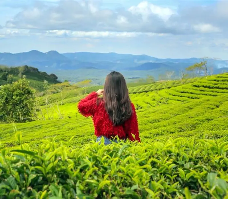 Đà Lạt có gì chơi? Gợi ý 15 điểm người người tìm đến quanh năm