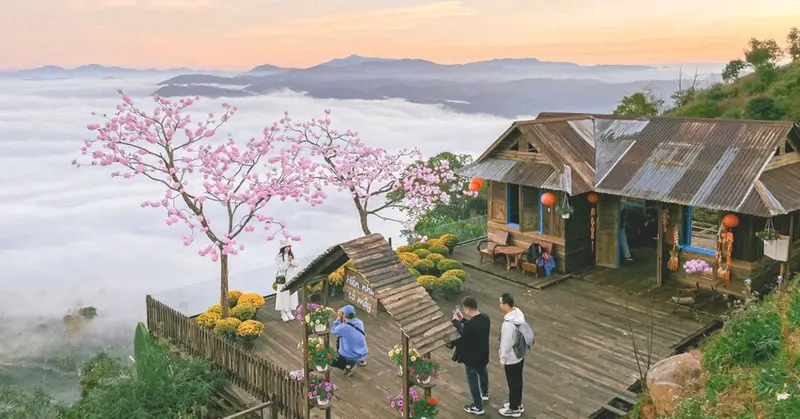 Festival hoa Đ&agrave; Lạt lần thứ X năm 2024 - Tất tần tật về lễ hội hoa lớn nhất Đ&agrave; Lạt 8