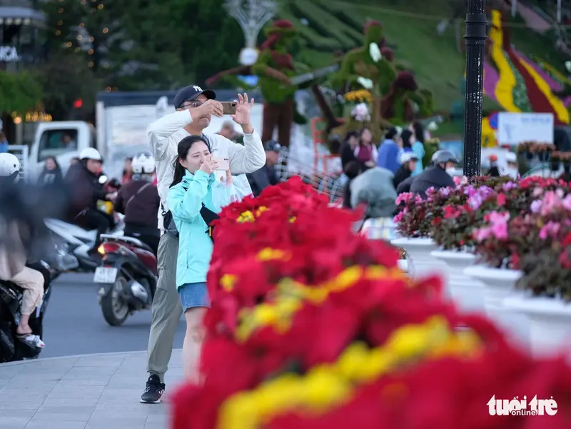 Festival hoa Đ&agrave; Lạt lần thứ X năm 2024 - Tất tần tật về lễ hội hoa lớn nhất Đ&agrave; Lạt 12