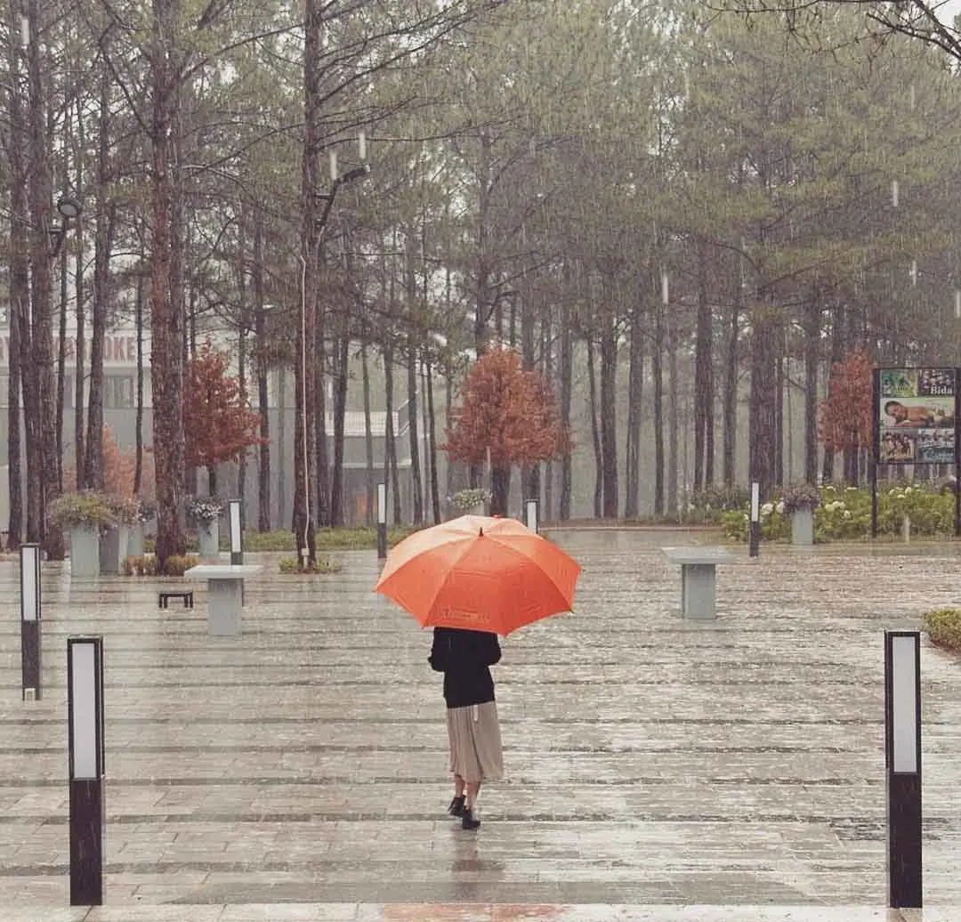 H&ograve;a m&igrave;nh v&agrave;o lễ hội mưa Đ&agrave; Lạt đầy l&atilde;ng mạn 3