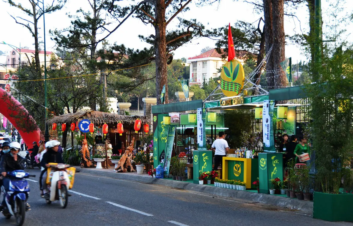 Lễ hội tr&agrave; Đ&agrave; Lạt - H&ograve;a m&igrave;nh v&agrave;o tuần lễ văn h&oacute;a tr&agrave; đặc sắc 5