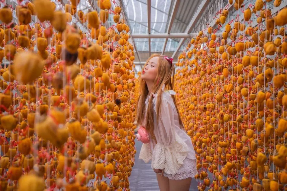Bỏ t&uacute;i lịch tr&igrave;nh Đ&agrave; Lạt 2N2Đ tự t&uacute;c cho nh&oacute;m bạn tiết kiệm nhất 3
