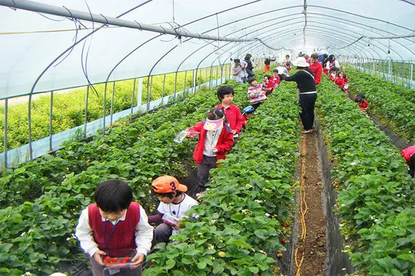 Tham khảo lịch tr&igrave;nh Đ&agrave; Lạt 3N3Đ tự t&uacute;c cho cặp đ&ocirc;i chi tiết v&agrave; thực tế nhất 6