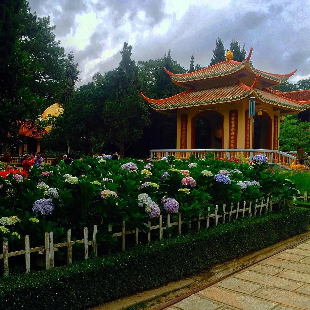 Trải nghiệm một ng&agrave;y tại Thiền viện Tr&uacute;c L&acirc;m - Điểm đến linh thi&ecirc;ng sở hữu vẻ đẹp thi&ecirc;n nhi&ecirc;n tho&aacute;t tục 14