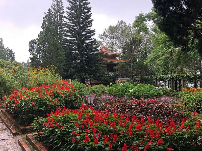 Trải nghiệm một ng&agrave;y tại Thiền viện Tr&uacute;c L&acirc;m - Điểm đến linh thi&ecirc;ng sở hữu vẻ đẹp thi&ecirc;n nhi&ecirc;n tho&aacute;t tục 16