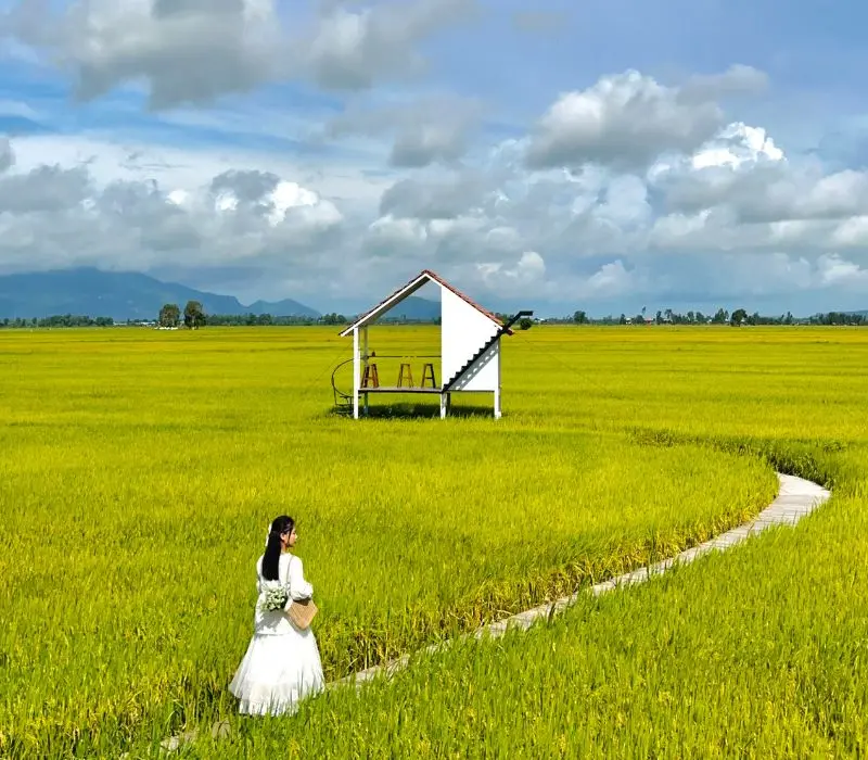 6 quán cafe ở Tri Tôn, An Giang với view chill giữa đồng xanh