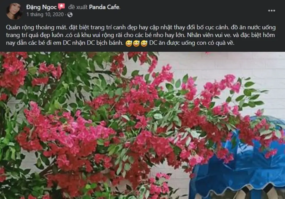 Khám phá Panda Cafe độc đáo nhất nhì Thành phố Long Xuyên 11