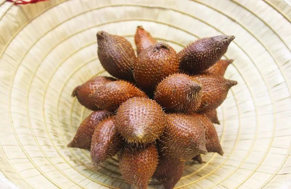 M&acirc;y gai An Giang, loại quả kh&ocirc;ng thể bỏ qua khi về miền T&acirc;y s&ocirc;ng nước 4