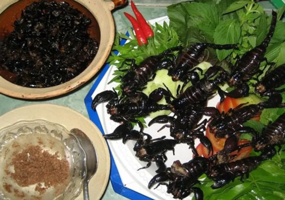 M&oacute;n ngon từ C&ocirc;n tr&ugrave;ng v&ugrave;ng Bảy N&uacute;i m&agrave; bạn nhất định phải thử 5