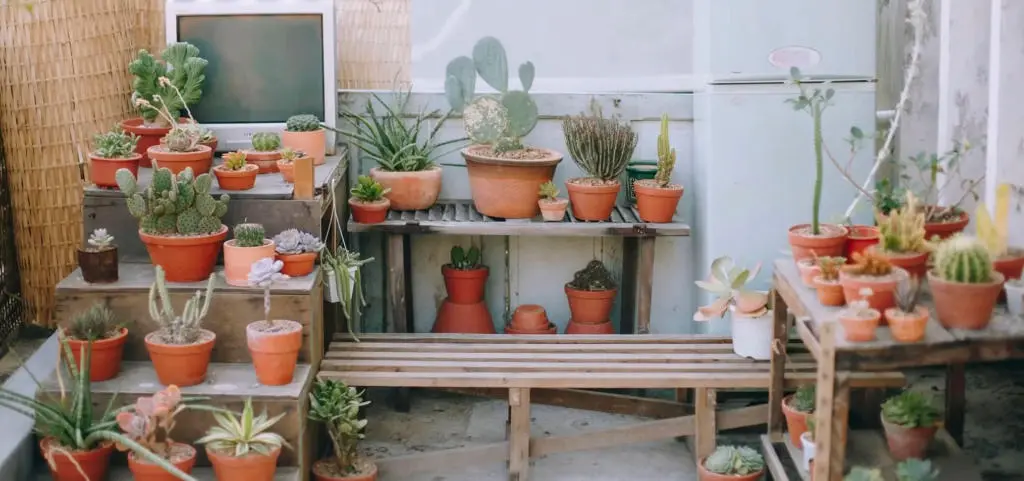 Qu&aacute;n c&agrave; ph&ecirc; Khu Vườn B&igrave;nh Y&ecirc;n, n&eacute;t mộc mạc s&acirc;u trong con hẻm nhỏ 7
