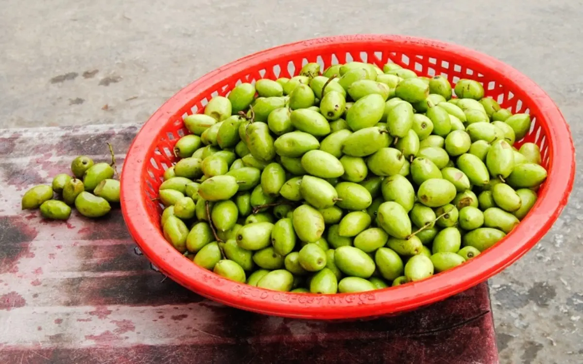Thưởng thức c&agrave; na đập An Giang, đặc sản chua ngọt ngon miệng 3
