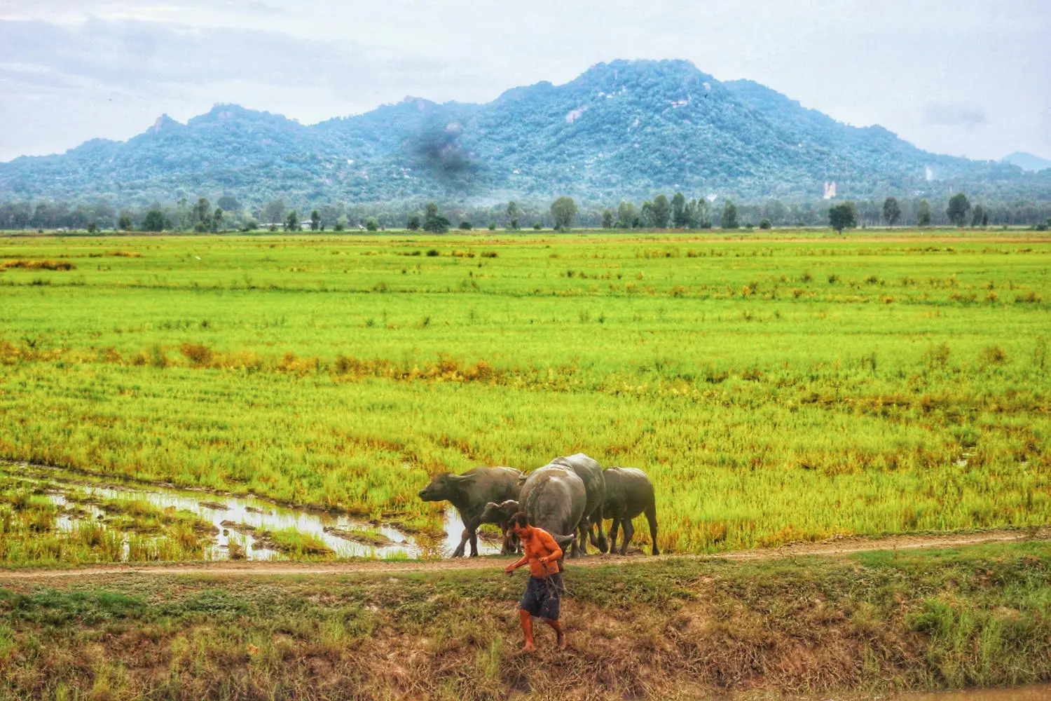 An Giang m&ugrave;a nước nổi đẹp tựa bức tranh sơn thủy hữu t&igrave;nh 18